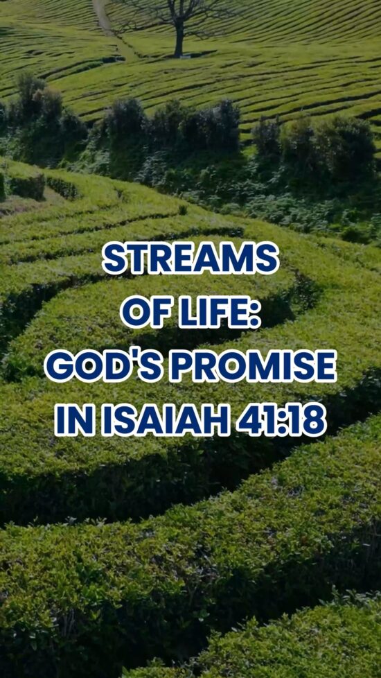 Streams of Life God's Promise in Isaiah 41:18